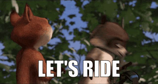 Rj Raccoon Over The Hedge GIF