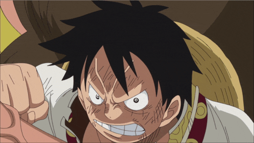 Sanji Luffy GIF
