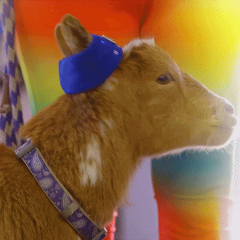 Sassy Oh No GIF