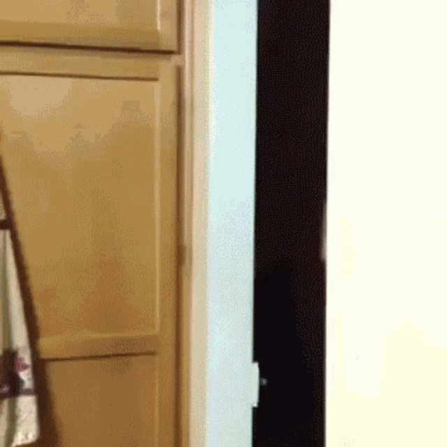 Scared Karate Guy Meme GIF