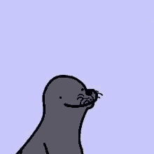 Seal Gay GIF