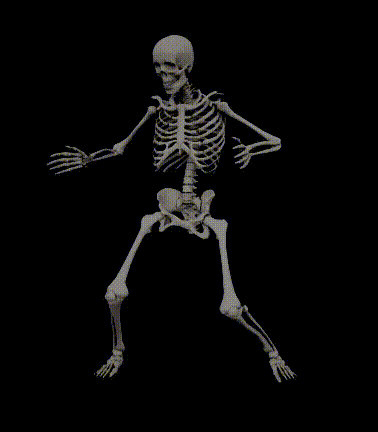Skeleton Dance Skeleton Dancing GIF