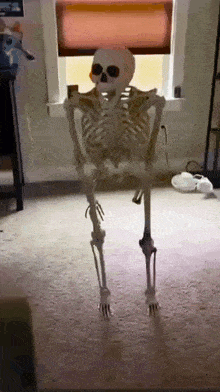 Skeleton Waiting Meme GIF