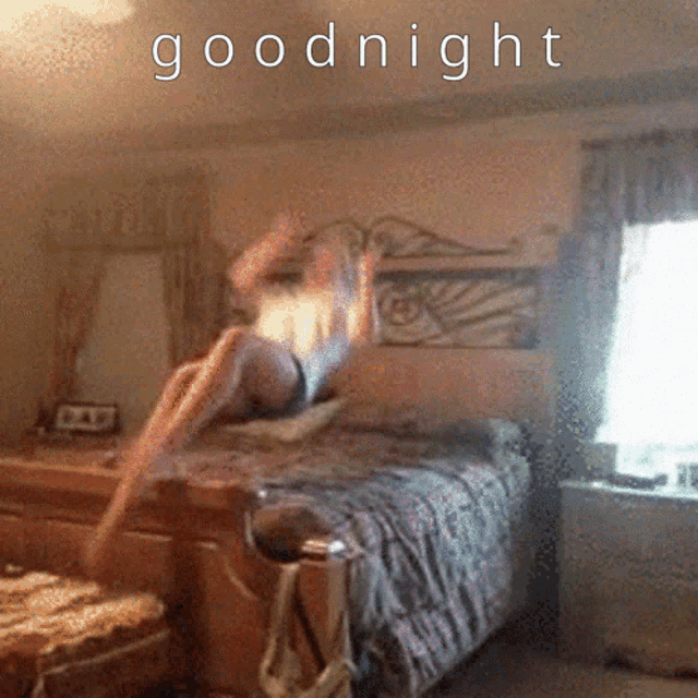 Sleep Goodnight GIF