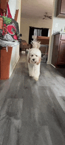 Smirk Meme Comedy GIF