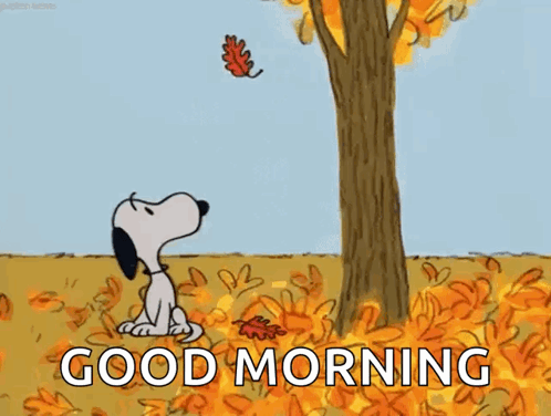 Snoopy Fall GIF