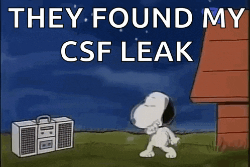 Snoopy GIF