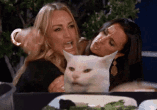 Taylor Armstrong Smudge Cat Gif