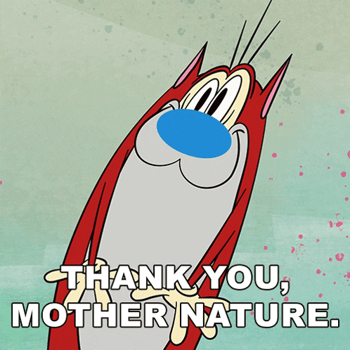 Thank You Mother Nature Stimpy GIF