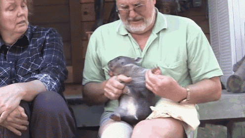 Tickles GIF