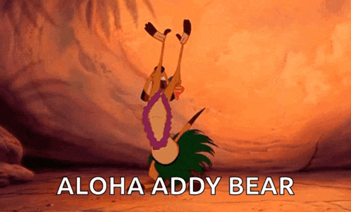 Timon Hawaiian GIF