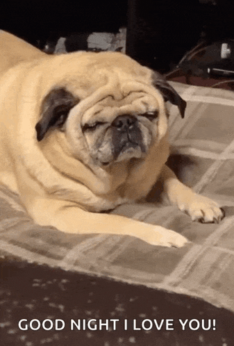 Tired GIF
