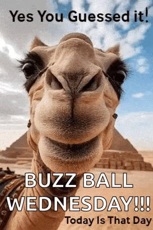 Today Is That Day Happy Wednesday GIF