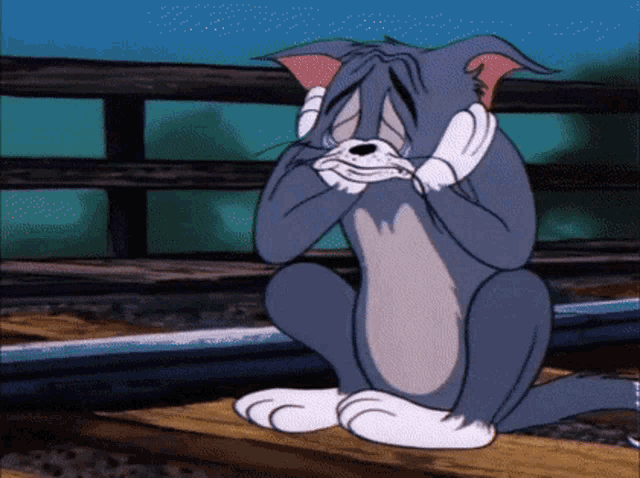 Tom Jerry GIF