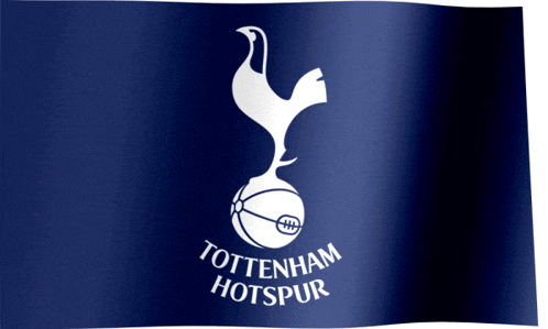Tottenham Hotspur GIF
