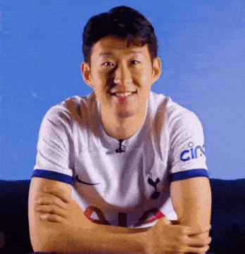 Tottenham Hotspur Spurs GIF