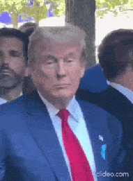 Trump Thumbs Up GIF