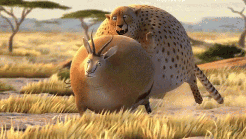 Tumble Cheetah GIF