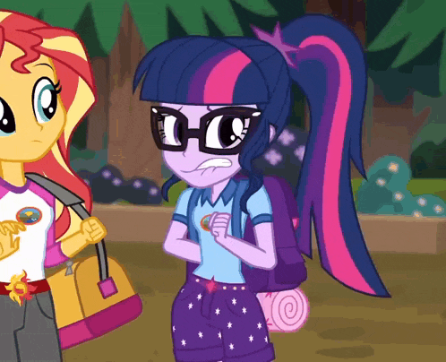 Twilight Sparkle Sunset Shimmer GIF