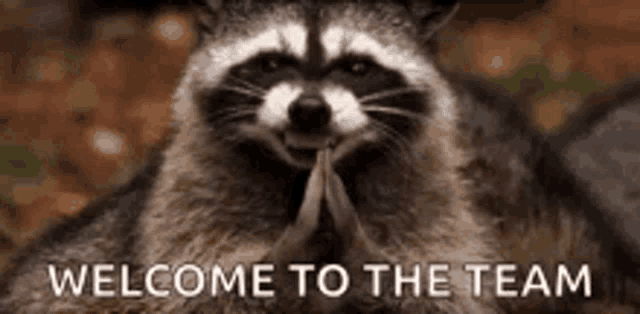 Welcome Racoon GIF