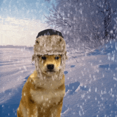 Winter Snow GIF