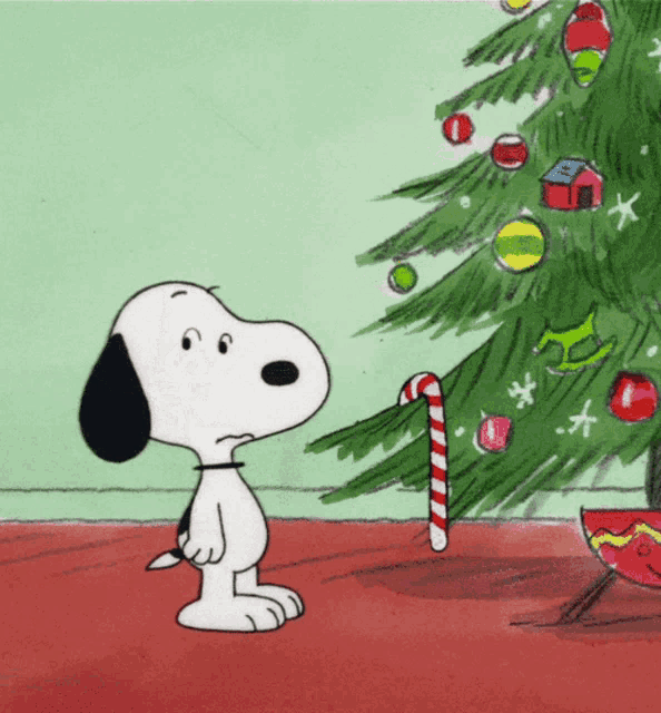 Xmas Christmas GIF