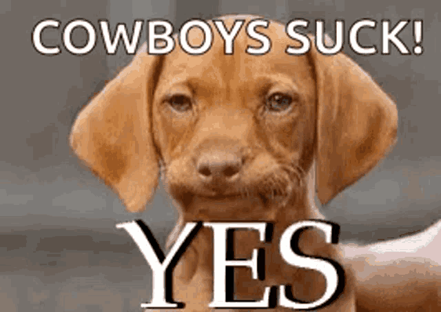 Yes Dog GIF