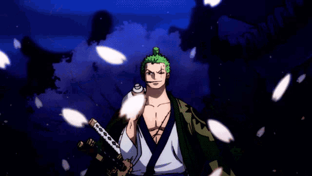 Zoro GIF