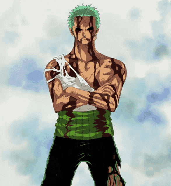 Zoro One GIF