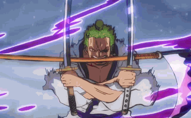 Zoro One Piece GIF