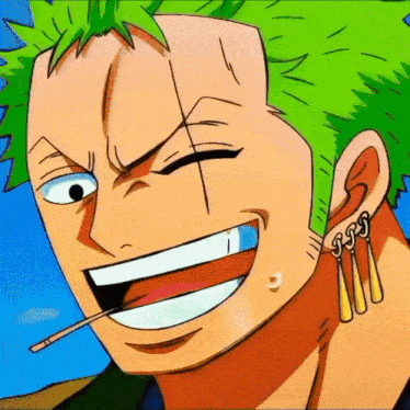 Zoro One Piece Roronoa Zoro GIF