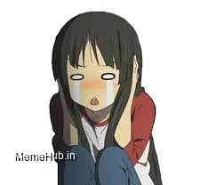Anime Crying Meme Template