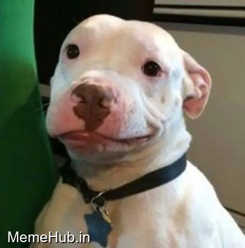 Awkward Meme