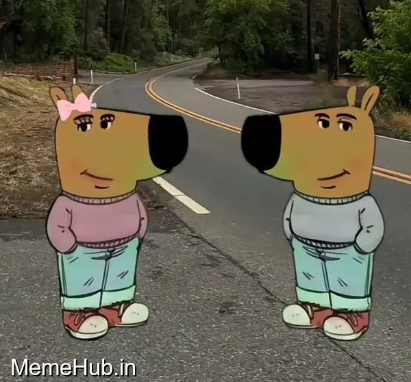 Chill Guy & Chill Girl Meme Template