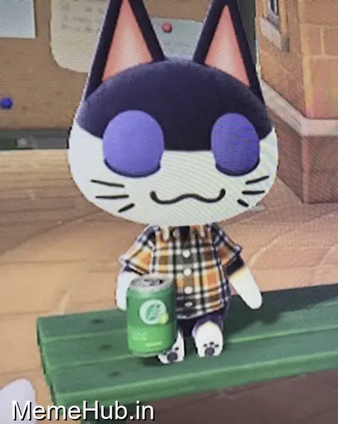 Cursed Picture Of Punchy Meme Template