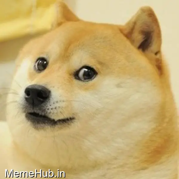 Doge Meme Template