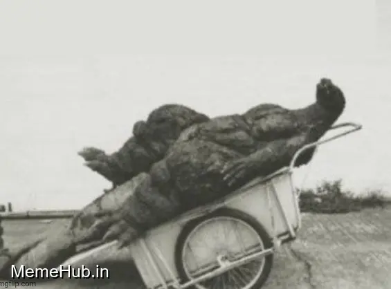 Godzilla Had Stroke Meme Template