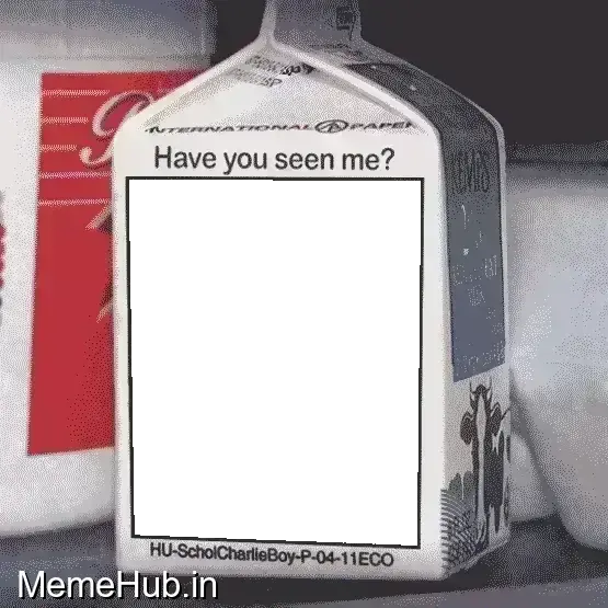 Missing Person Meme Template