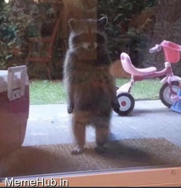 Mom I Threw Up Template