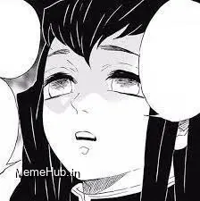 Muichiro Meme Template