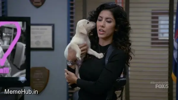 Rosa Dog Meme Template