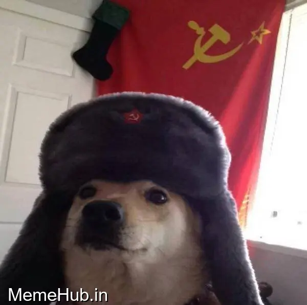 Russian Doge Template