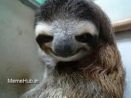 Sloth Meme