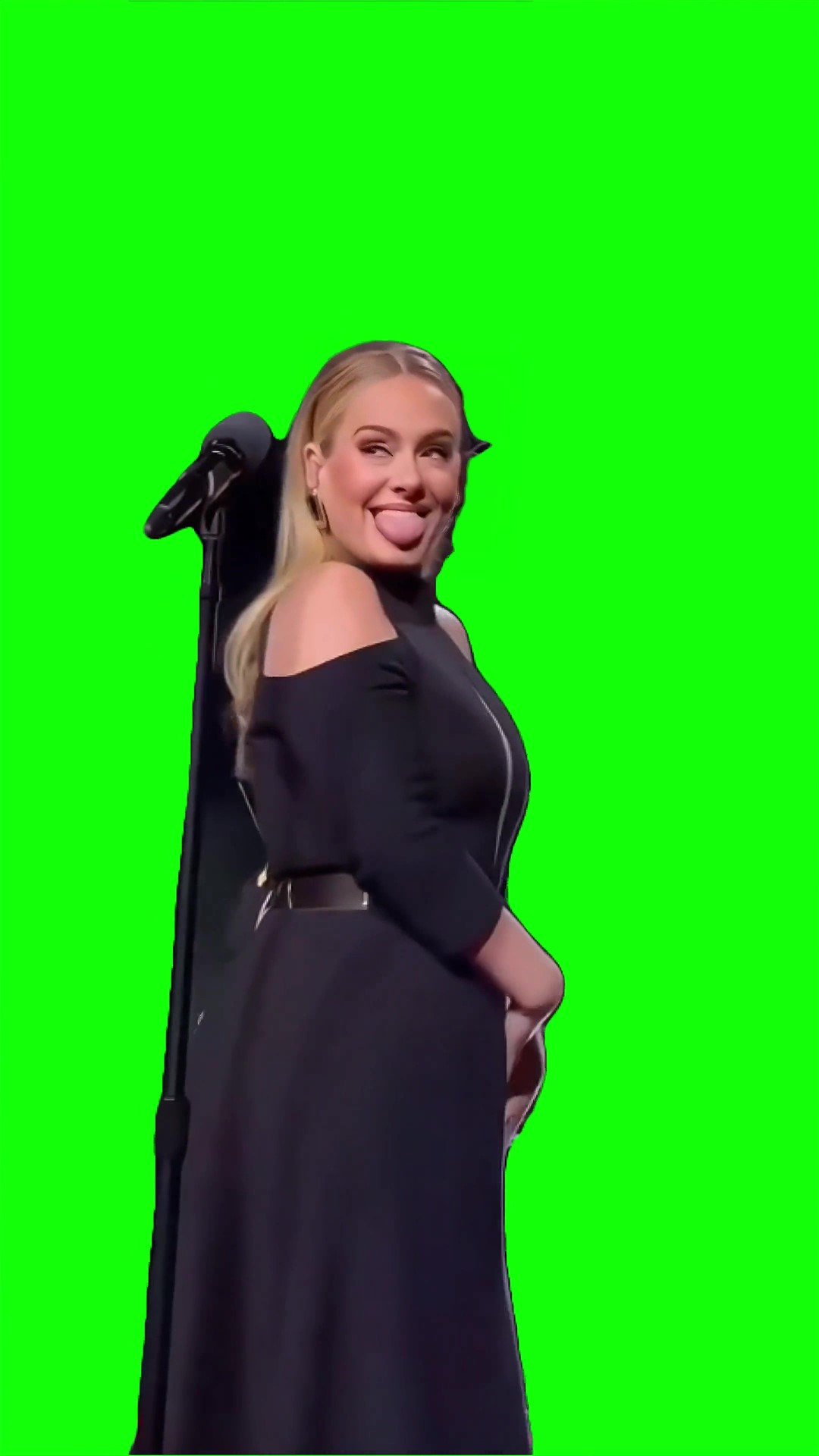Adele sassy rumor has it meme Green Screen