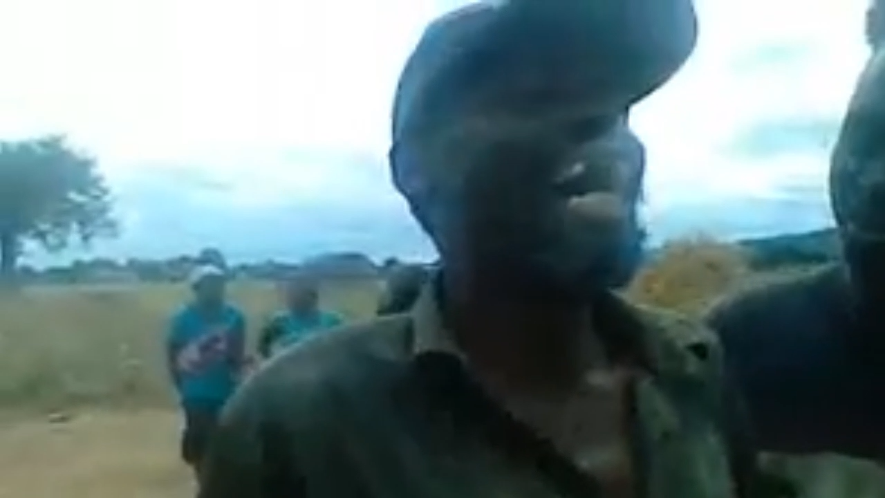 African Man Laughing Meme Video