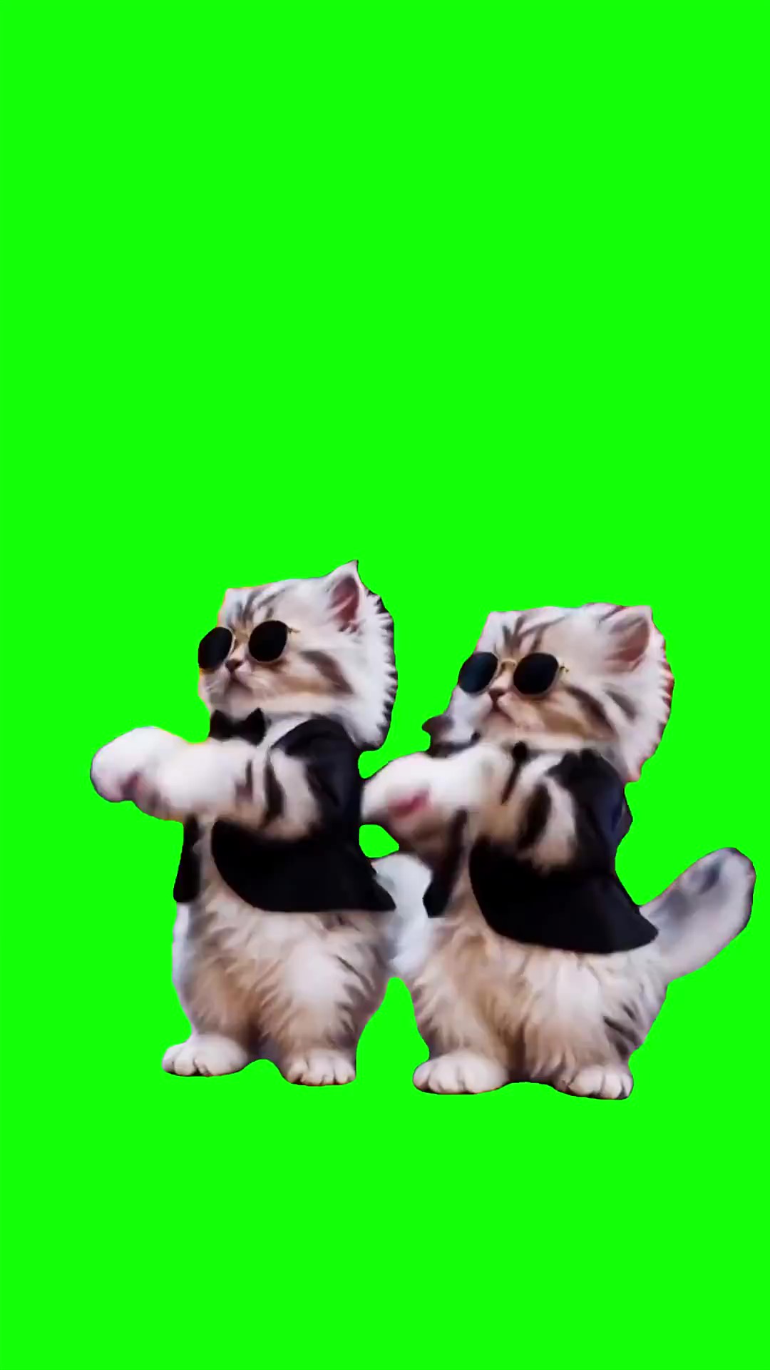 Ai kittens in a suite meme Green Screen