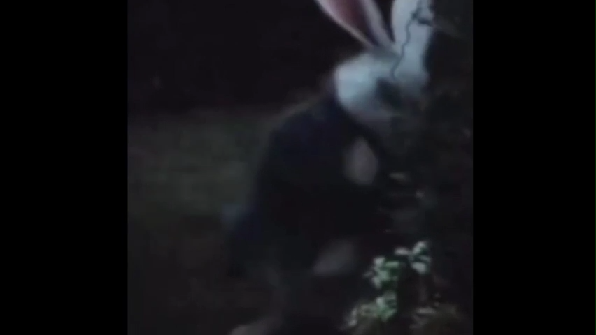 All Ways Lead To Rome Meme Video