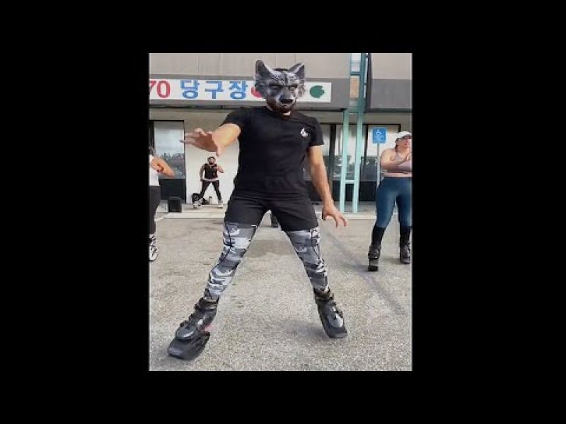 Alpha Wolf Meme