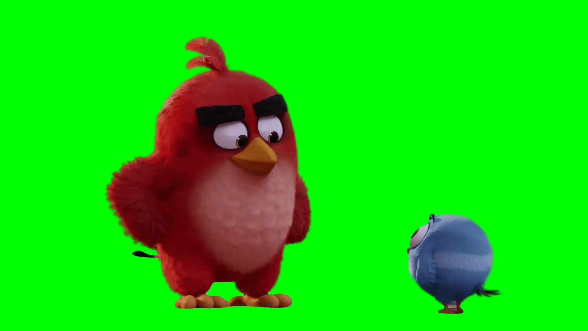 Angry Birds Football Kick green screen