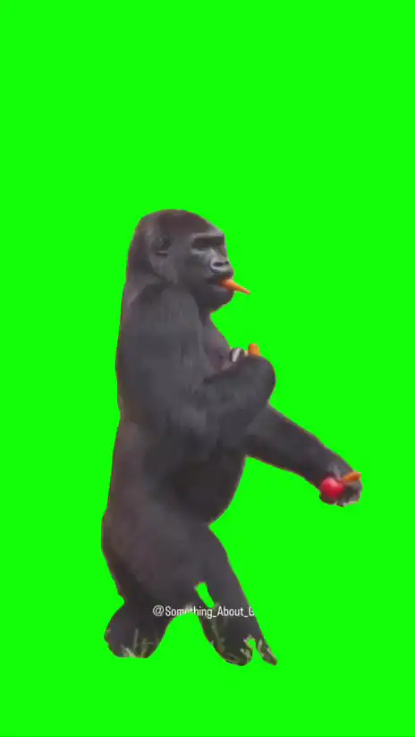 Ape running with food green screen